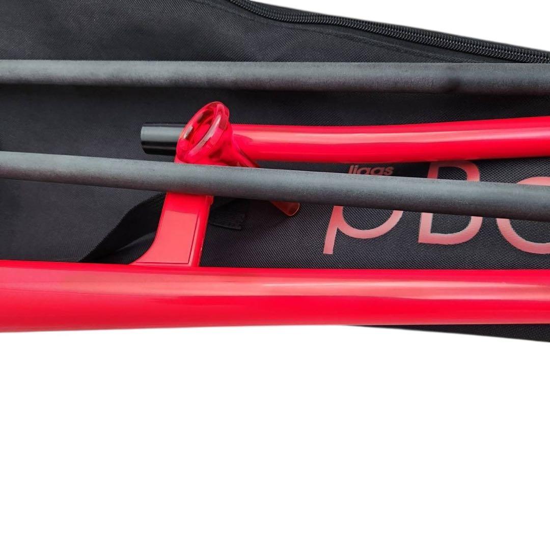 pBone プラスチック トロンボーン　レッド