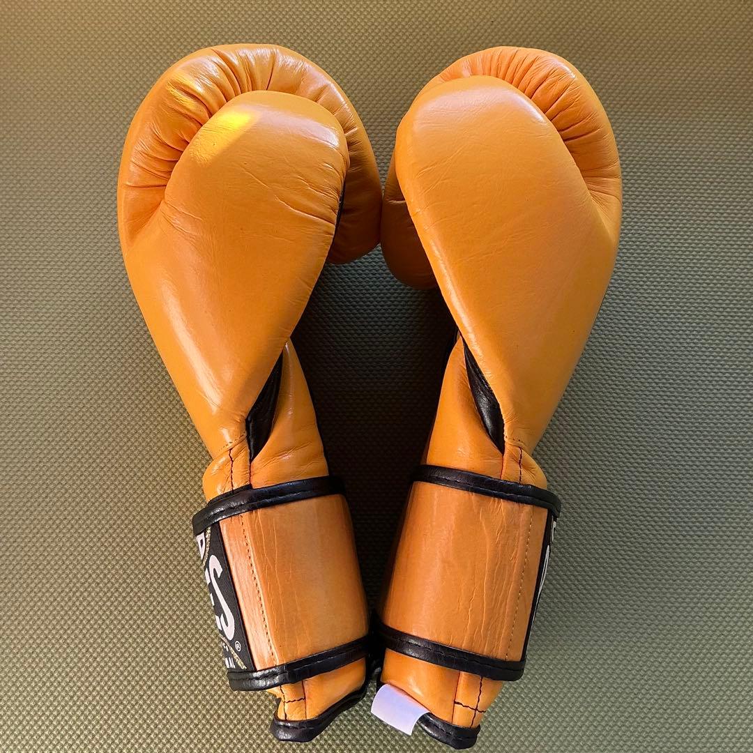 レイジェス(reyes) ボクシンググローブ 12oz