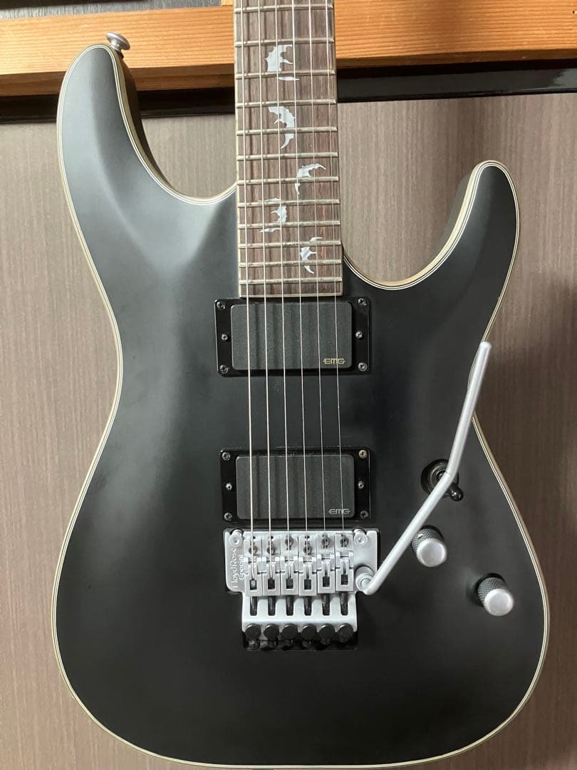ギター SCHECTER DAMIEN PLATINUM-6FR