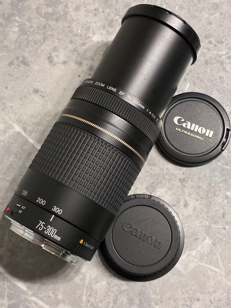 ⭐️外観美品⭐️Canon EF 75-300mm F/4-5.6 II USM