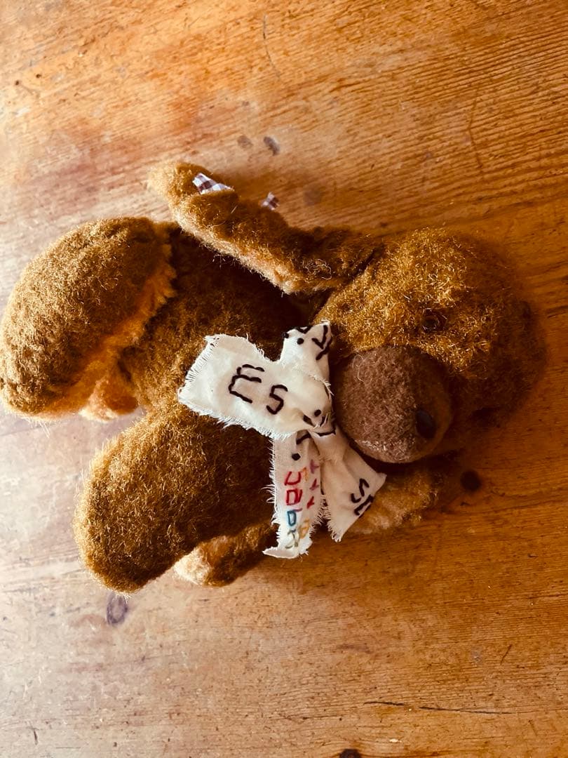 ☆ ✩ ヴィンテージベア ワンコ　DDRベア　アンティークベア　✩