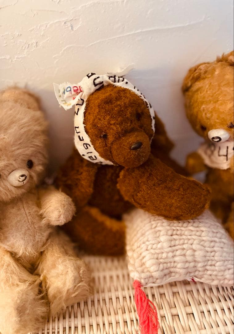 ☆ ✩ ヴィンテージベア ワンコ　DDRベア　アンティークベア　✩