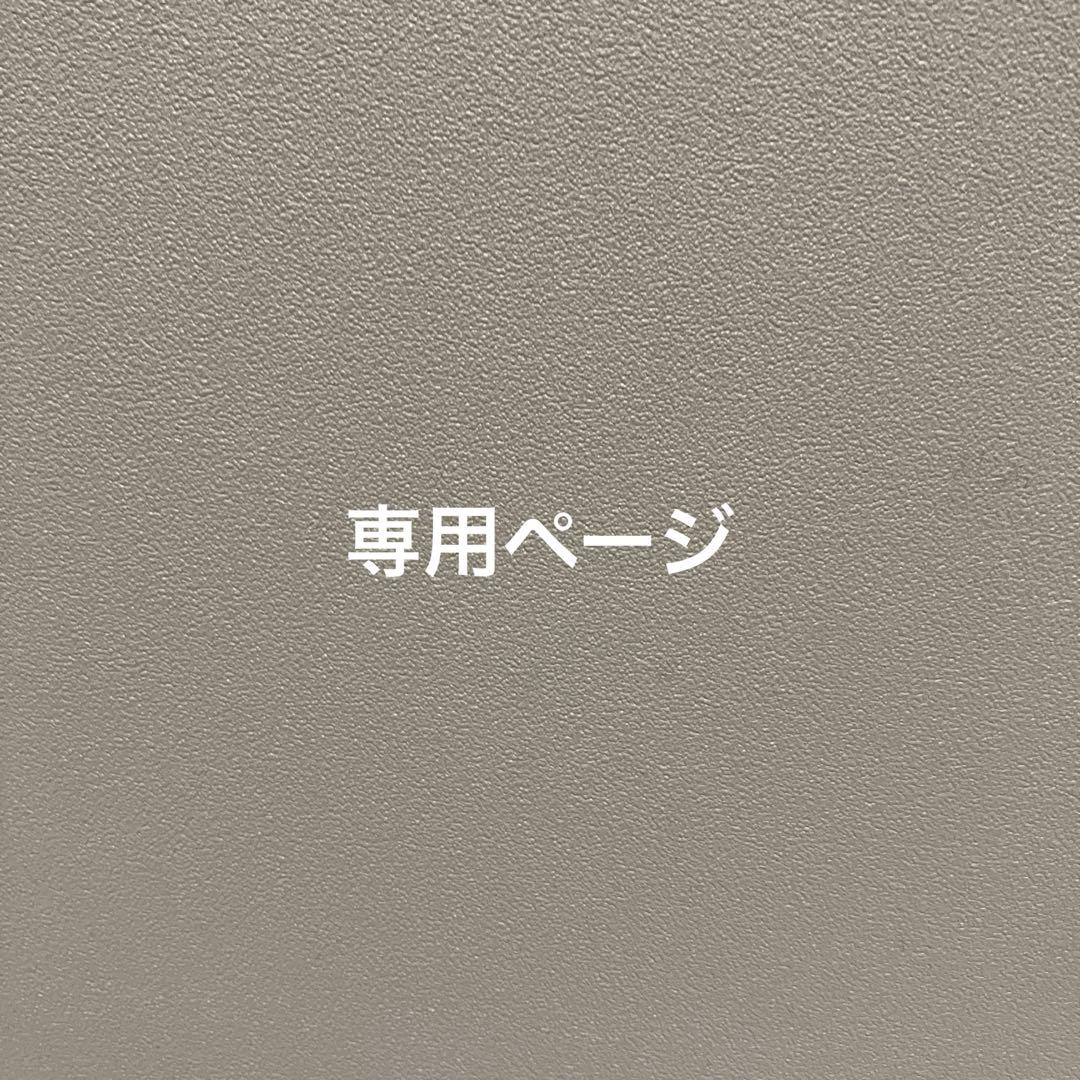 専用ページ