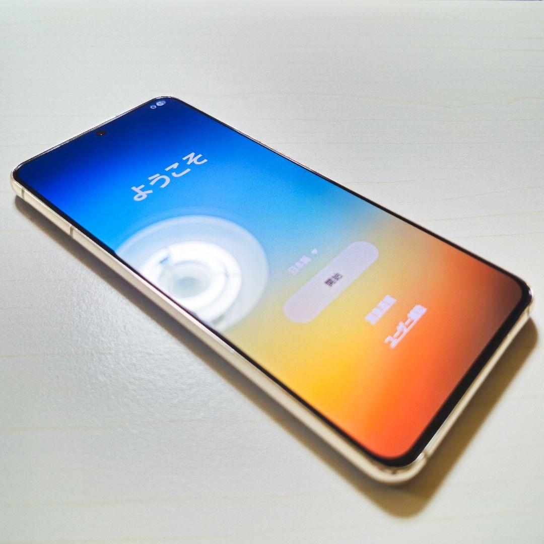 12/29まで【GALAXY S21 5G】 SC-51B 限定品