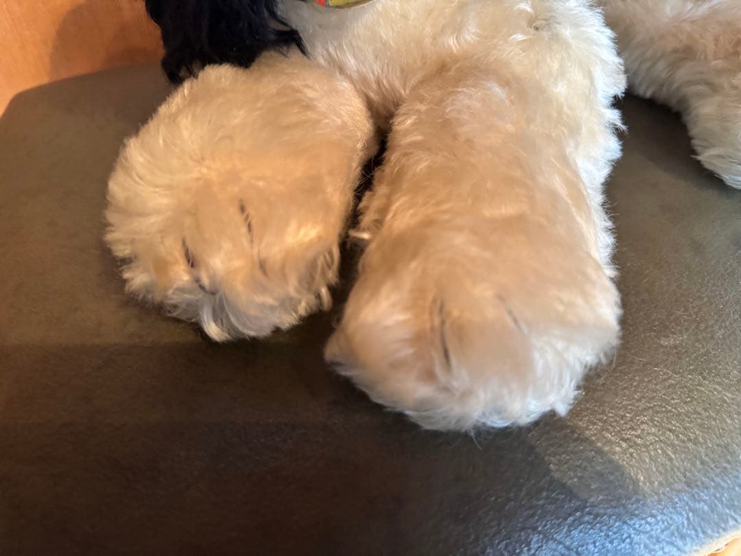 ジョムレ★プロフ読んでくださいです！