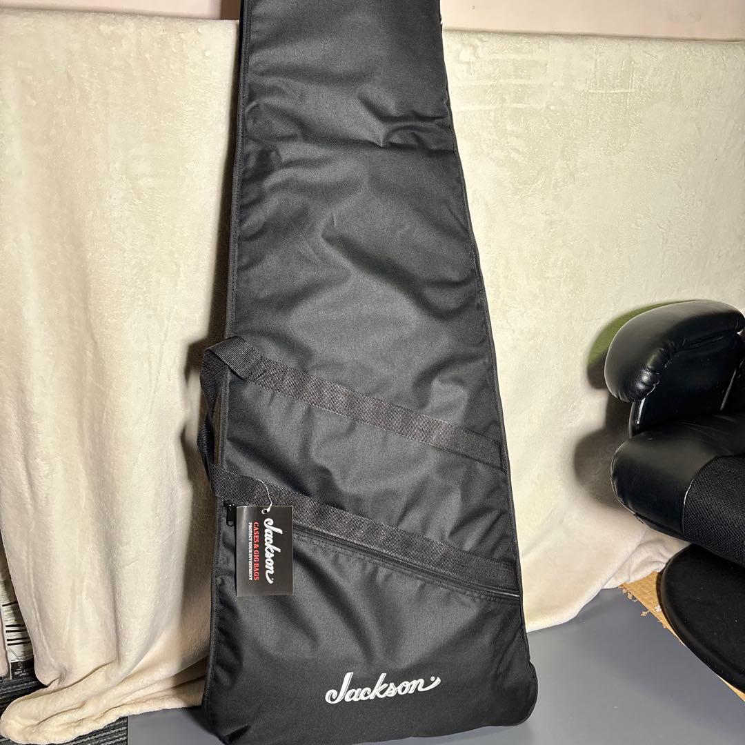 【希少】Aria Pro Ⅱ XX-MS Flying V エレキギター