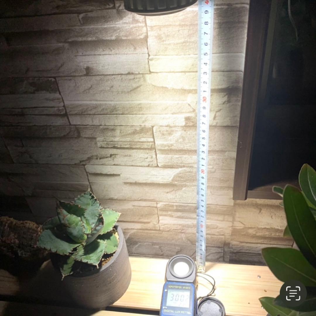 15W植物育成ライトGrowLight PAR20 6000K 5個