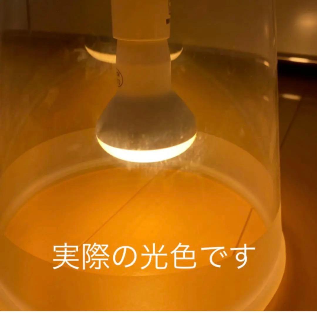 超レア　LED電球6個 FLOS/フロス フーシア/FUCSIA用　E14