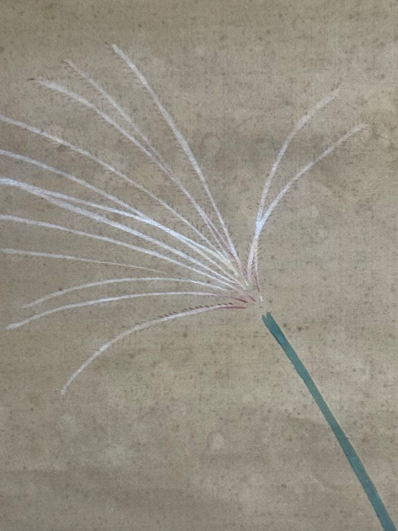 酒井抱一筆　絹本肉筆　朝顔　沒骨法　掛軸　送料込み250824