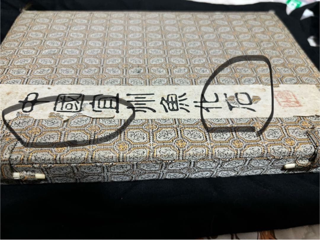 中国宣州魚化石