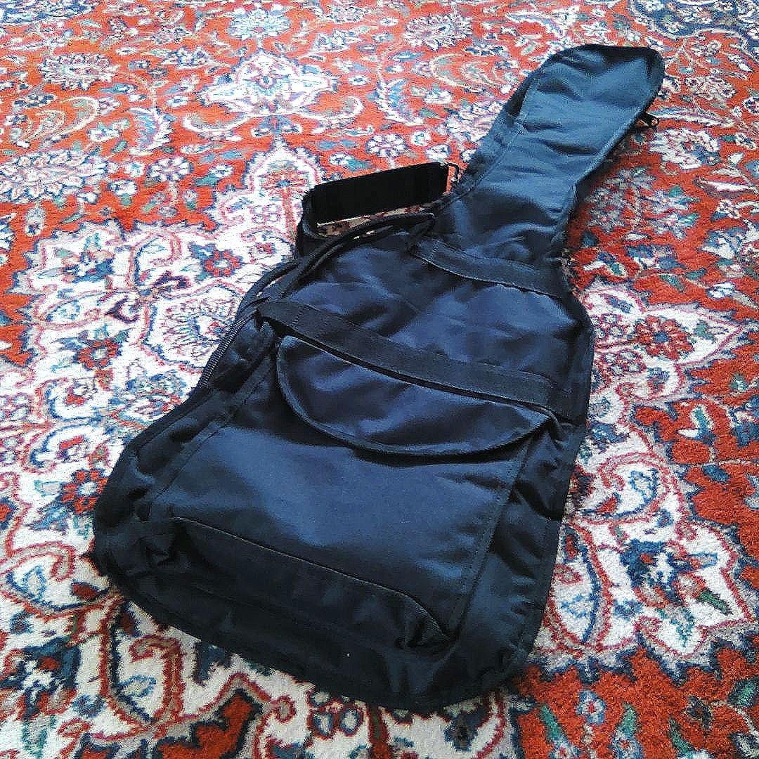 Aria Pro II PE-DLX セイモア ダンカン デザイン ピックアップ