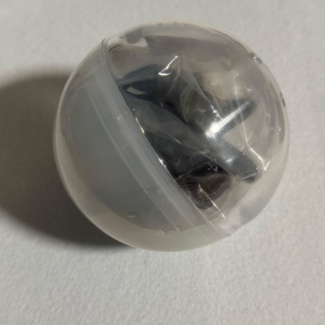 小笠原　ザトウクジラ　テストショット　ネイチャーテクニカラー