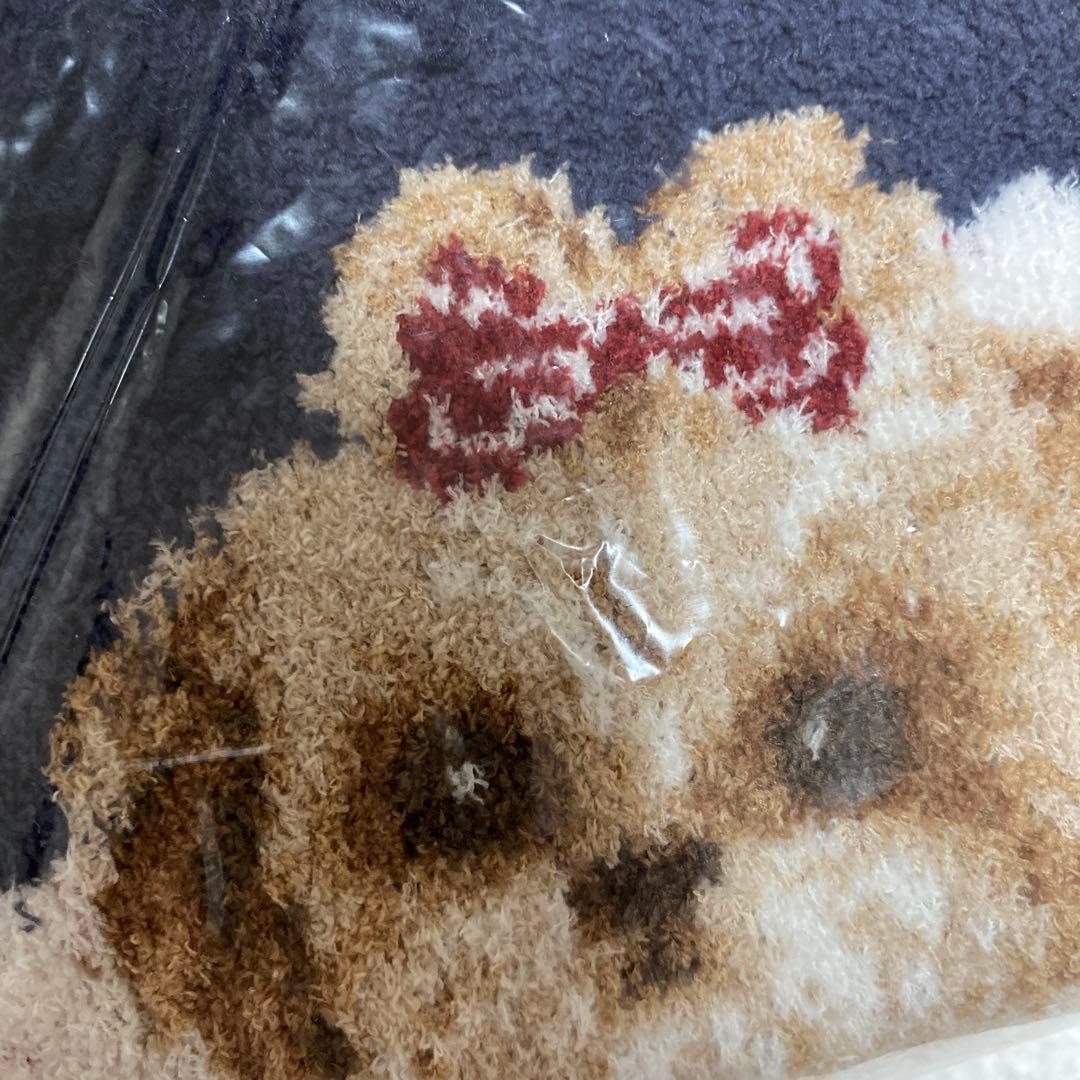 新品　完全未開封　ジェラートピケ　シーズー ジャガード プルオーバー ネイビー