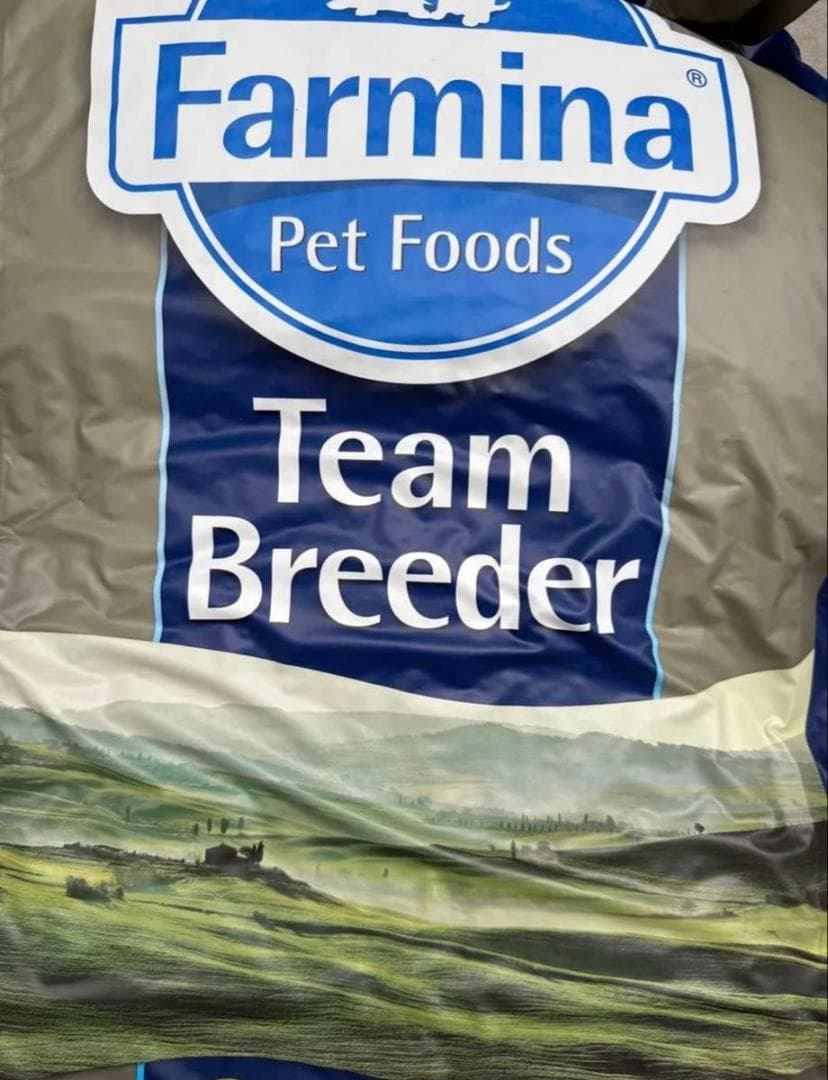 ファルミナ　ワイルドボア＆アップル入り　猫用　10kg