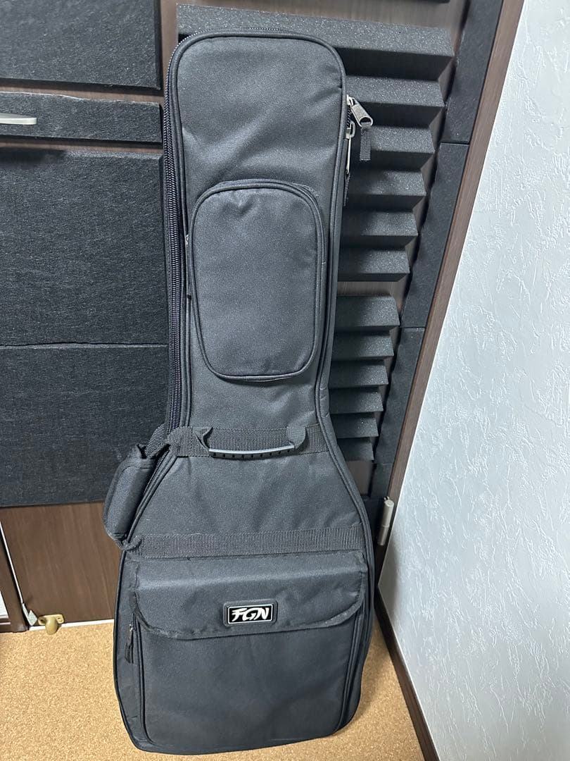 ギター FGN JIL2-ASH-DE664-R/OPB