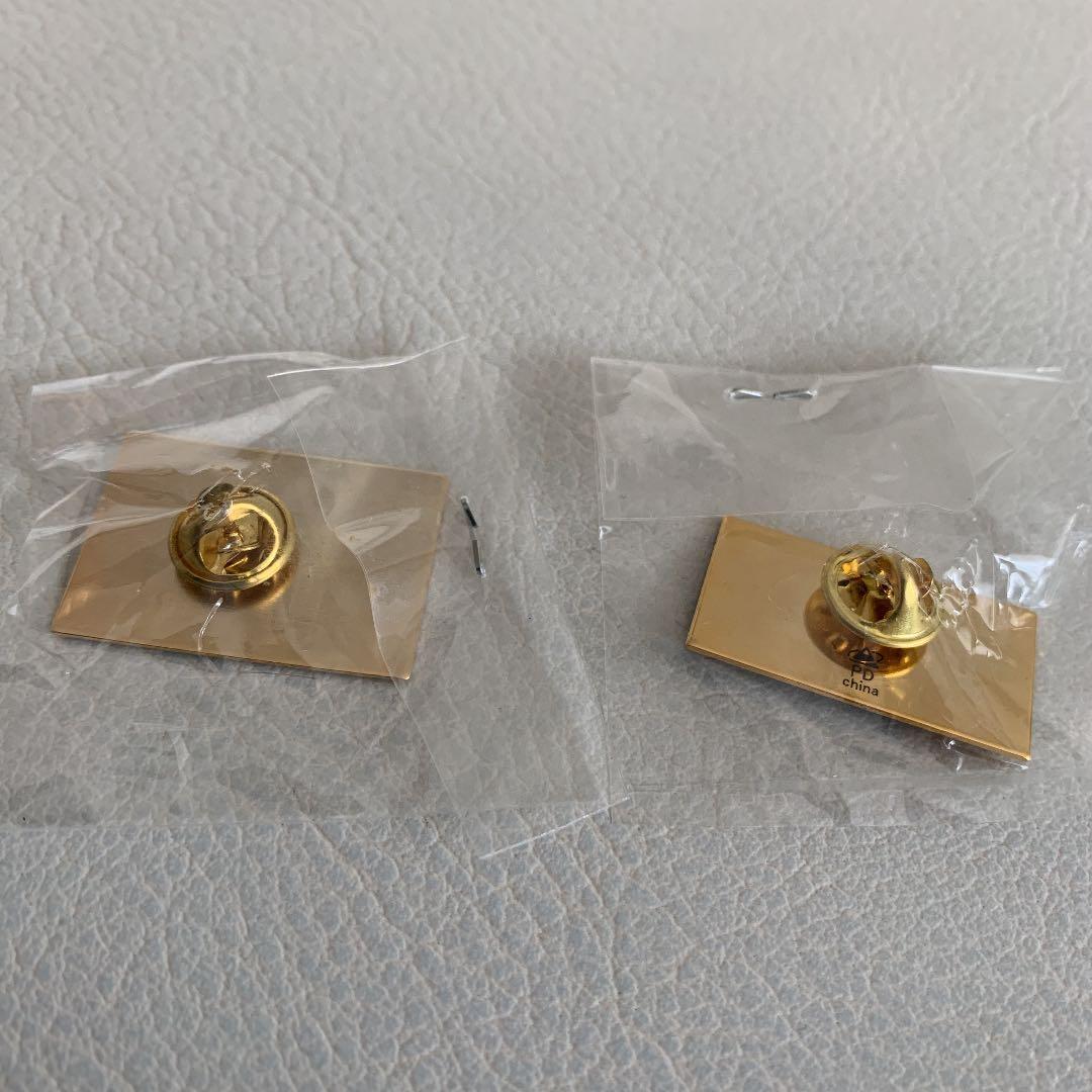 java サンマイクロシステムズ 認定 金 ピンバッジ 2点セット