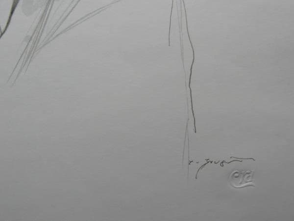 藤井 勉、ショール、大判・希少デッサン画集より、状態良好