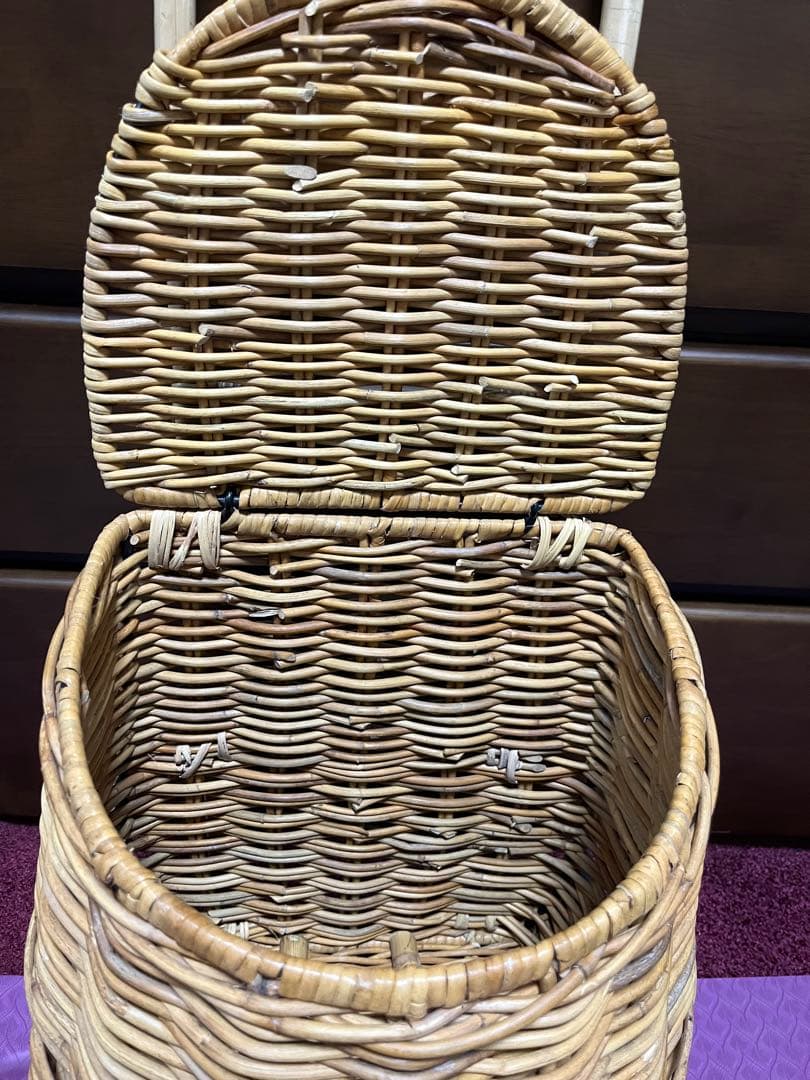 アラログ キャリーカート　ラタン　ショッピング