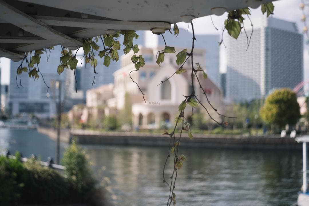 tadashi様　小西六 HEXAR 50mm F3.5 オールドレンズ