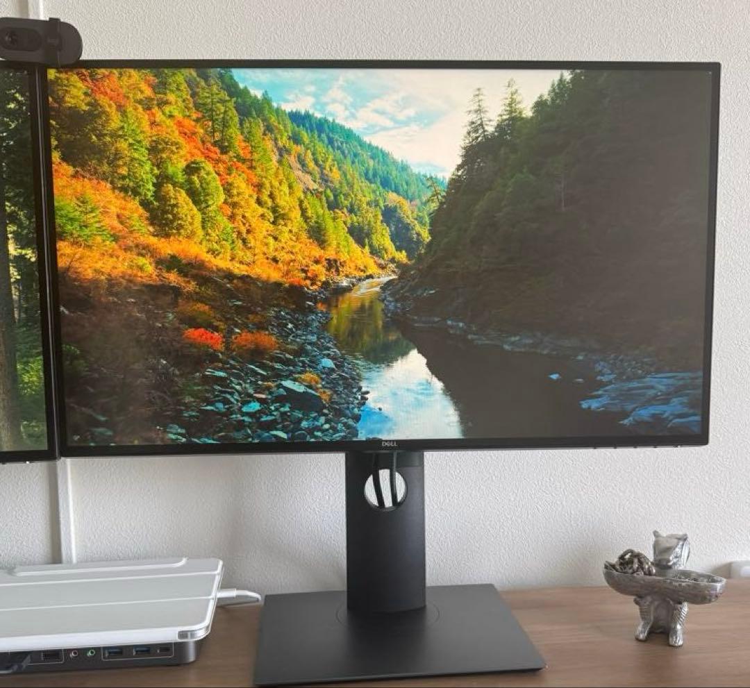 Dell U2520DR 25インチ モニター 2台セット