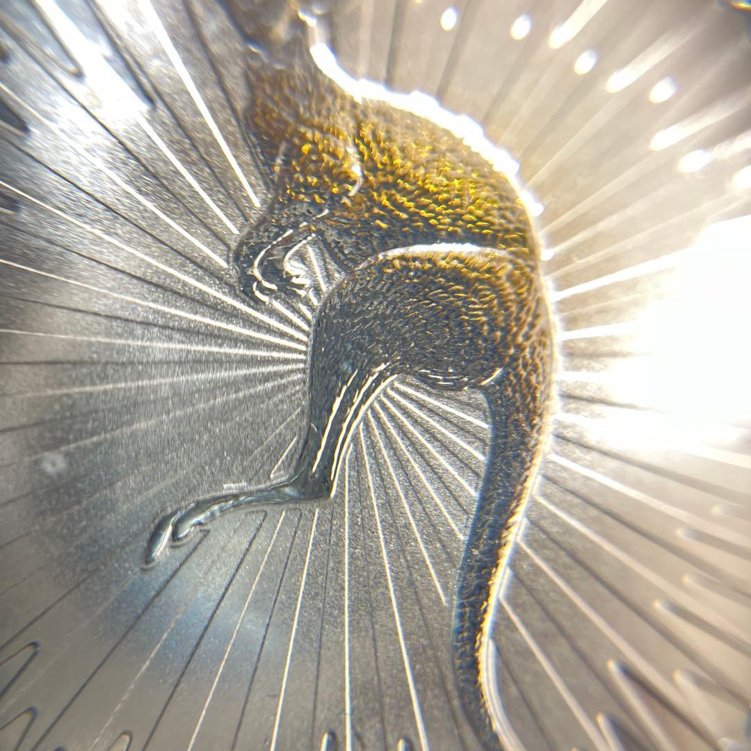 【純銀】オーストラリア　カンガルー 銀貨　1oz ケース付き　①