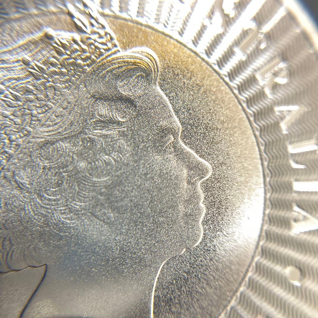 【純銀】オーストラリア　カンガルー 銀貨　1oz ケース付き　①