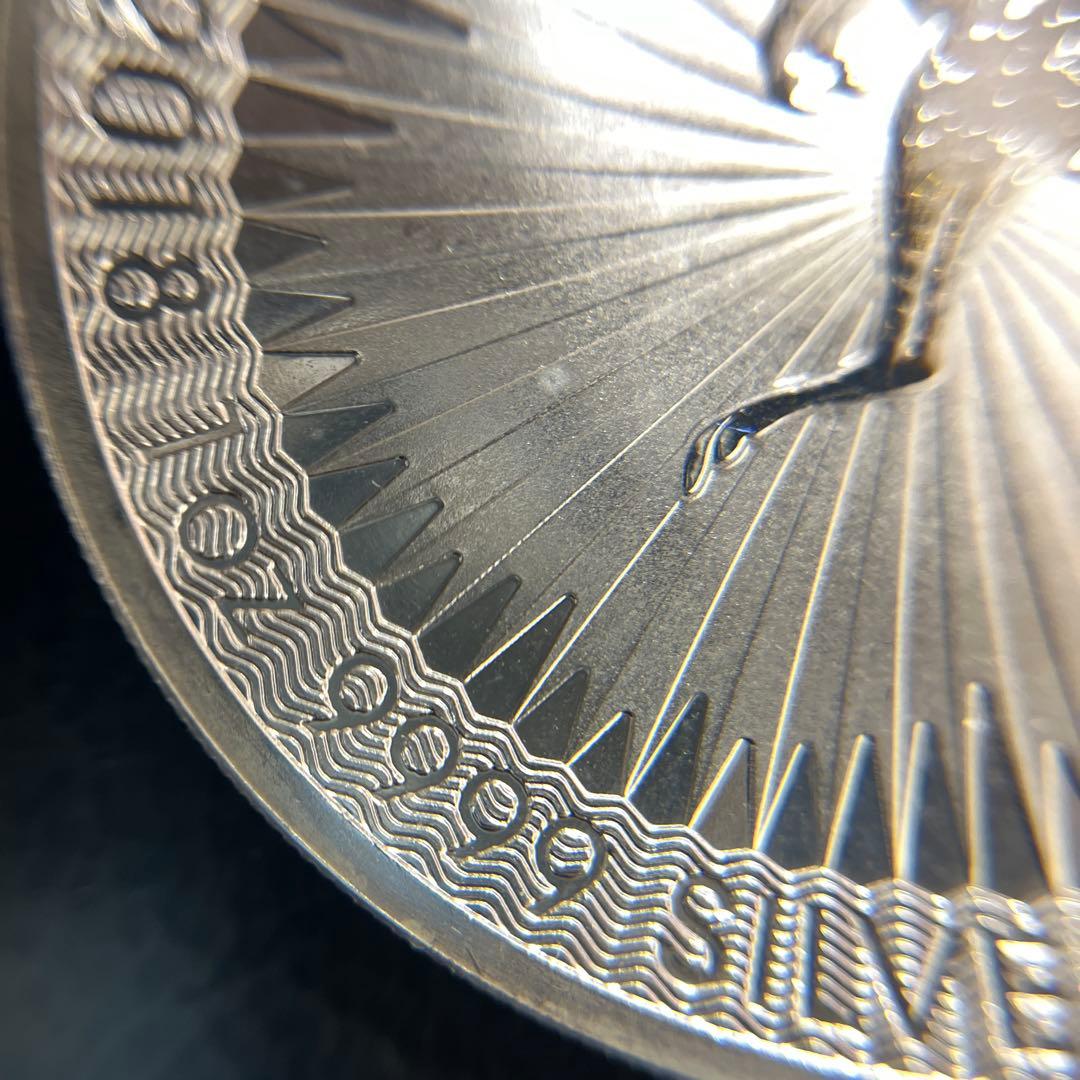 【純銀】オーストラリア　カンガルー 銀貨　1oz ケース付き　①