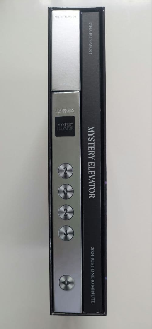 チャウヌ　MYSTERY ELEVATOR　DVD