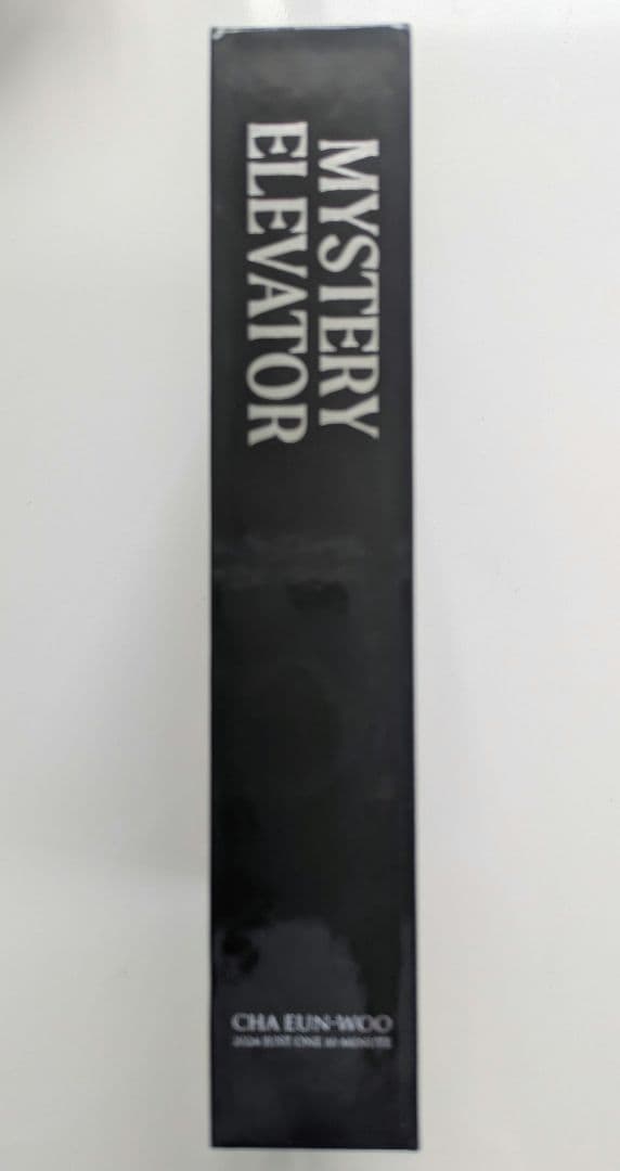 チャウヌ　MYSTERY ELEVATOR　DVD