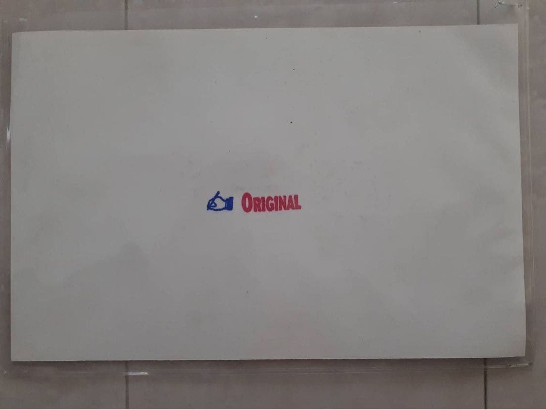 マイク・タイソン　EVERLAST ボクシングショーツ サイン入り