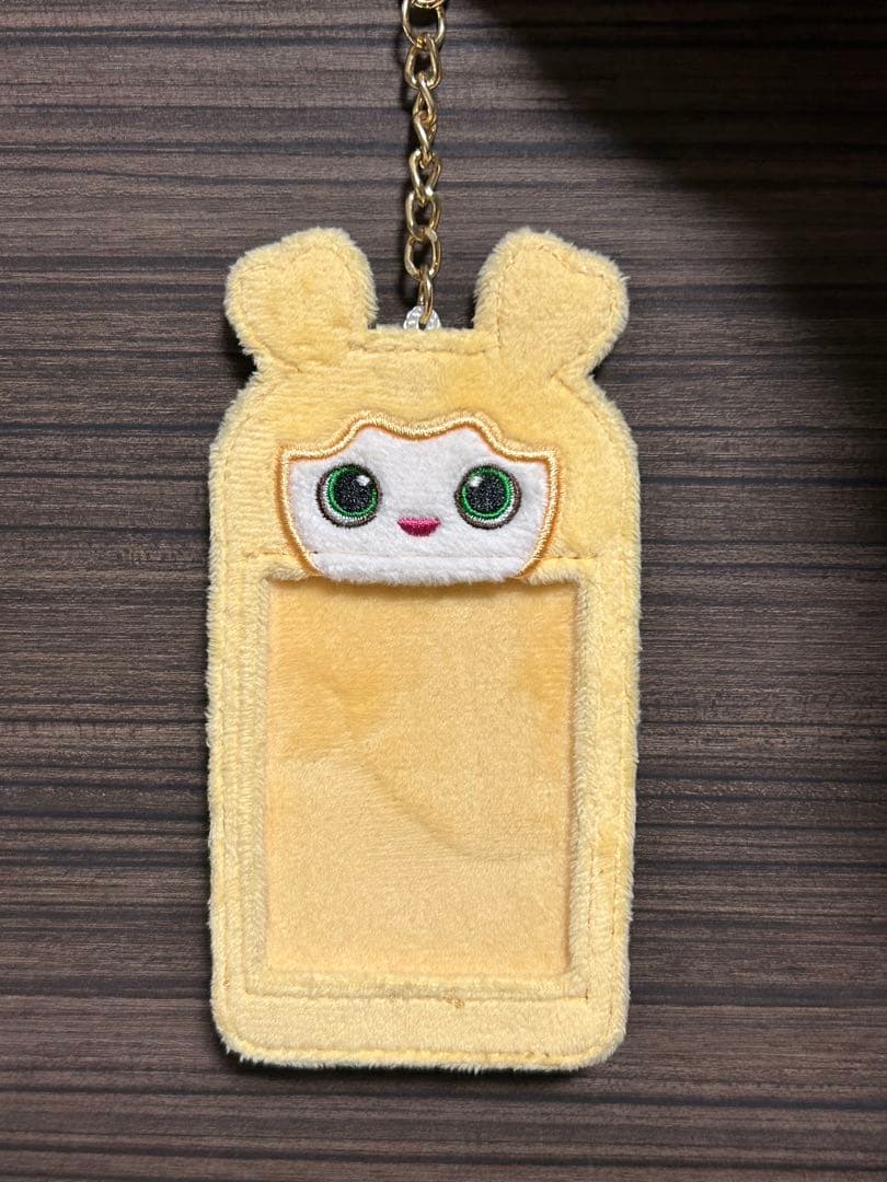 1/31まで　TWICE ジヒョ ジブリー トレカケース