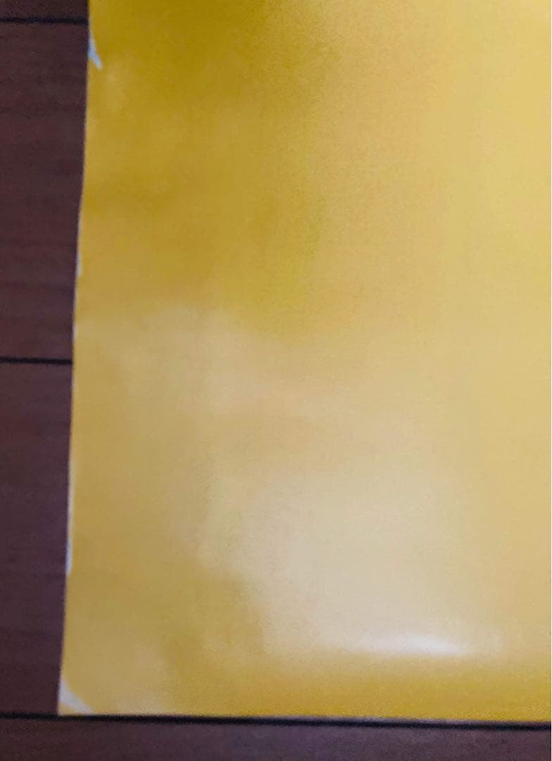 【希少品　ポスター2点セット】ロニーウッド絵画ポスター1991展　556