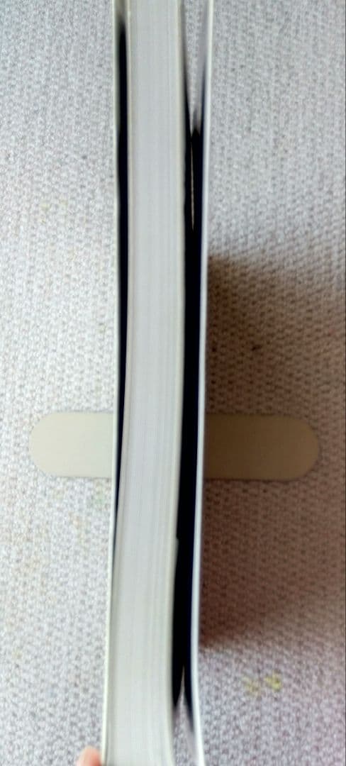 sakakiii さま専用 荒木経惟【少女物語】