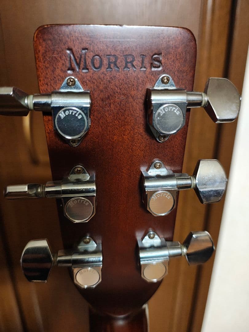 Morris アコースティックギター w40ドレッドノート