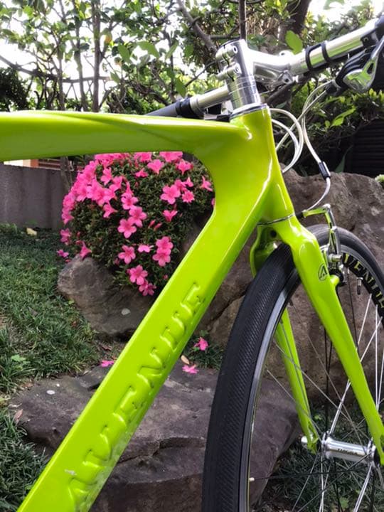 アベニュー　クロスバイク　オランダ製