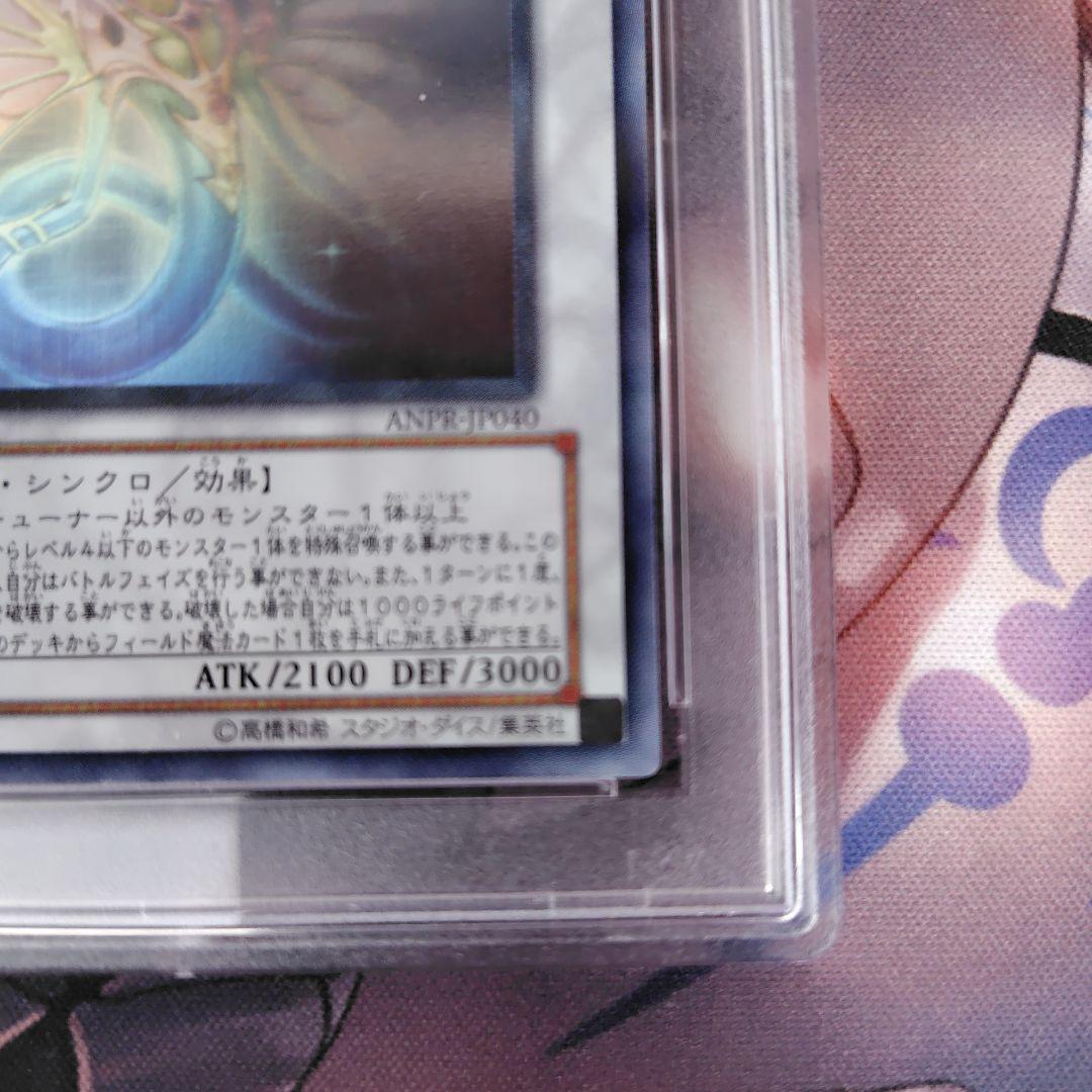 遊戯王　エンシェント・フェアリードラゴン　ホロ　ホログラフィックレア　PSA10