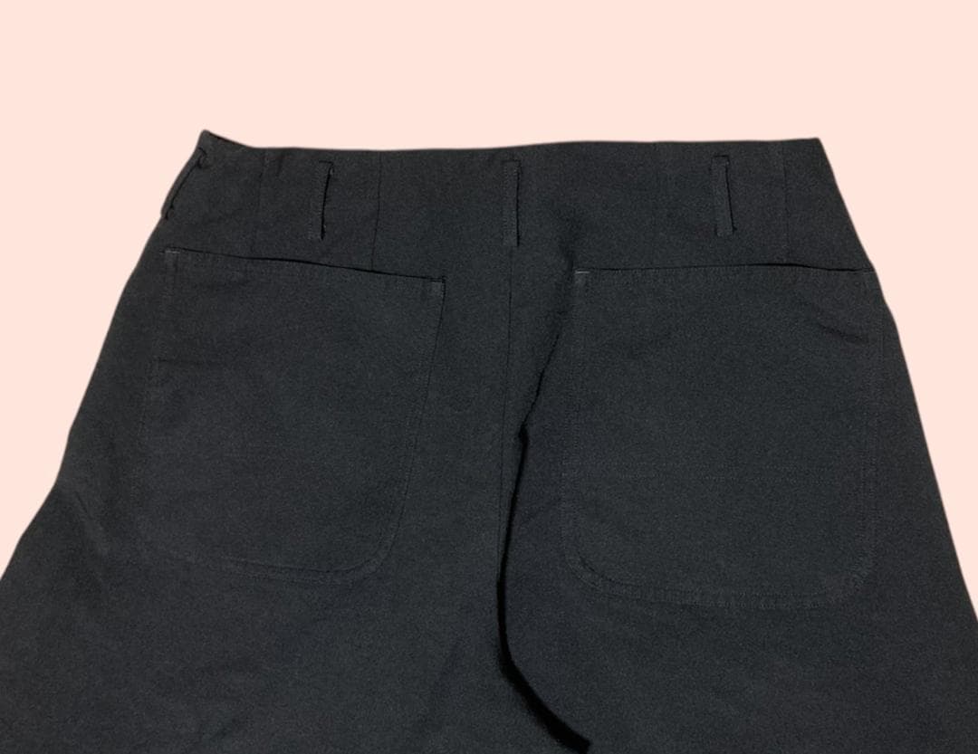 17AW COMME des GARCONS HOMME plus 寅壱パンツ