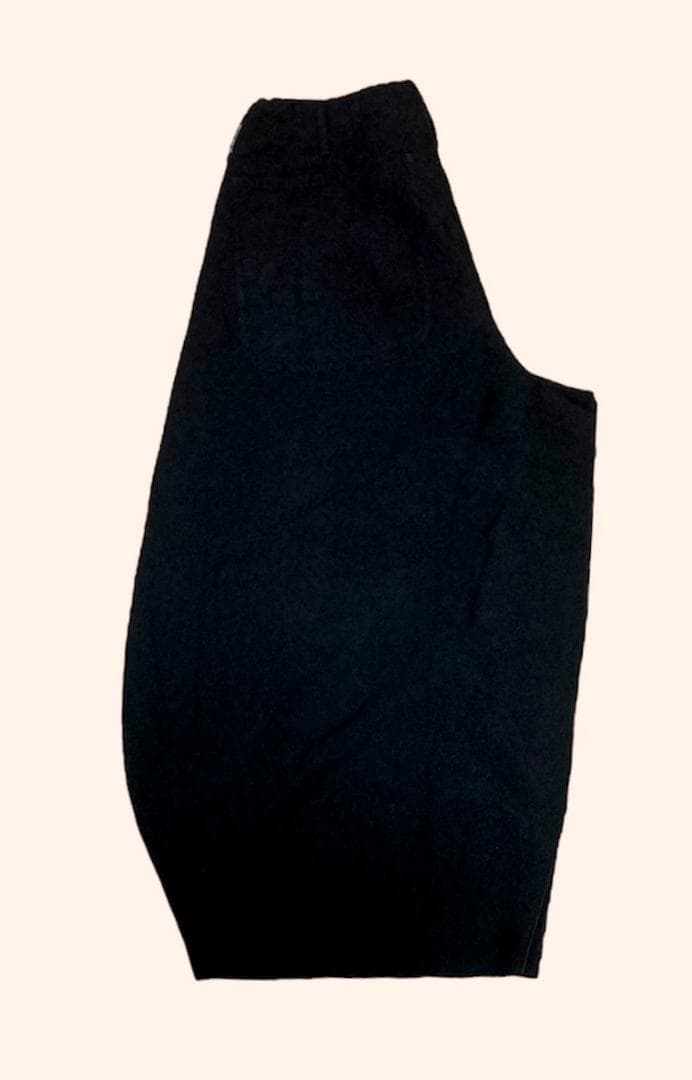 17AW COMME des GARCONS HOMME plus 寅壱パンツ