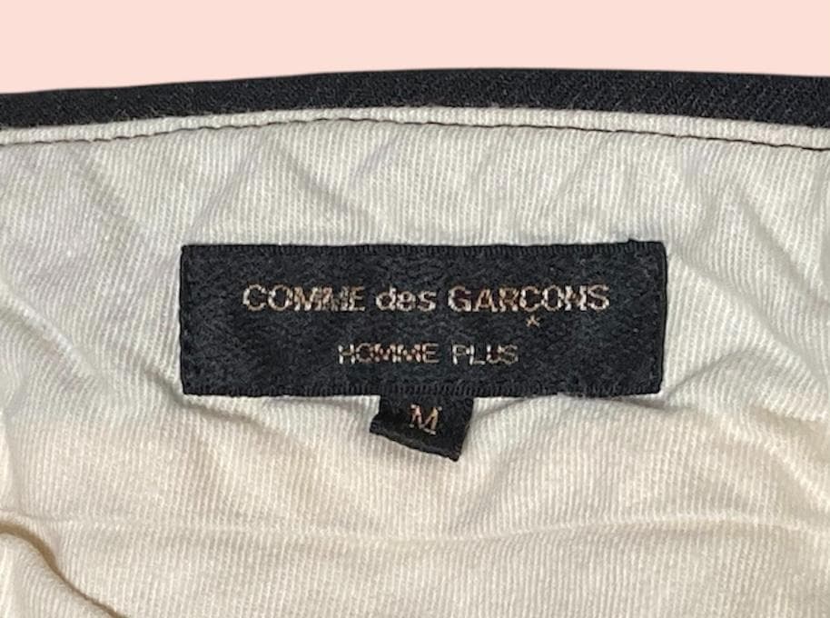 17AW COMME des GARCONS HOMME plus 寅壱パンツ