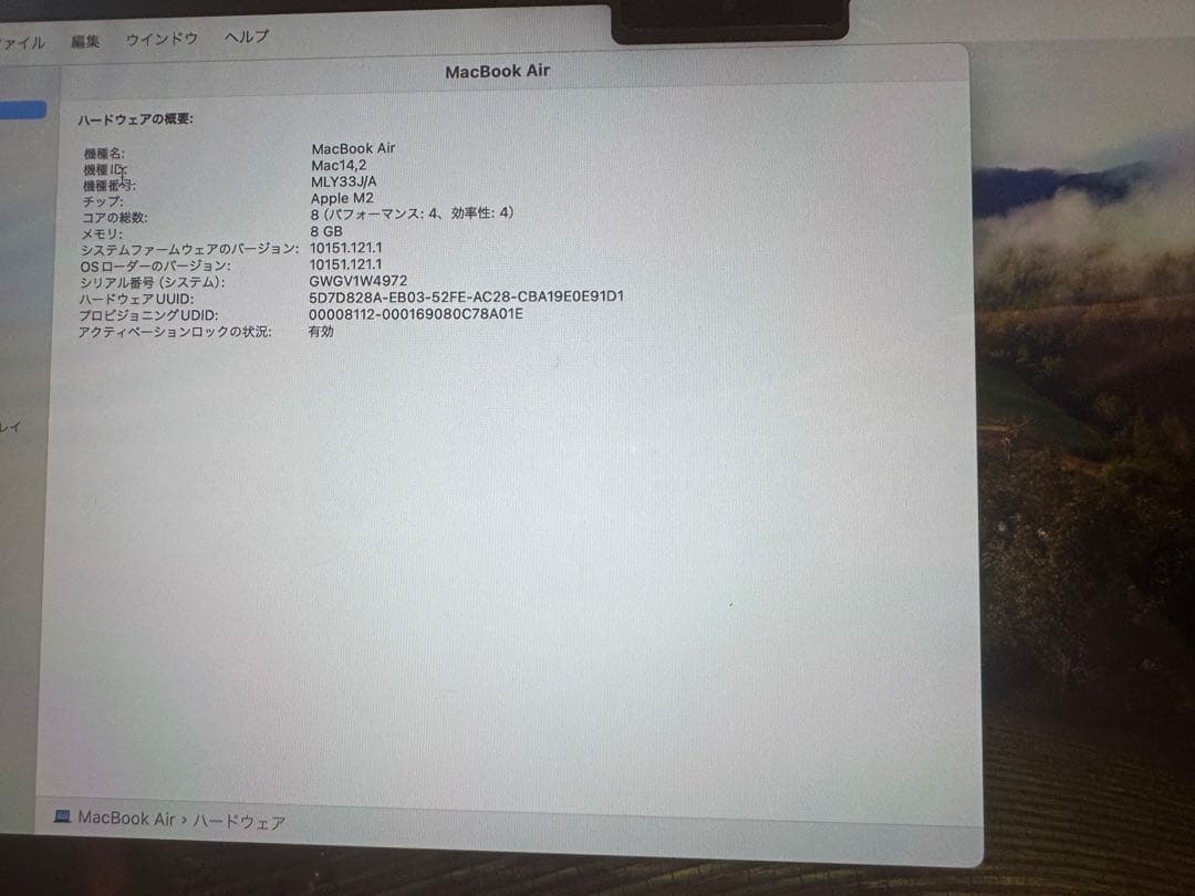 即購入OK今月中値下げ Apple MacBook Air 13インチ2022