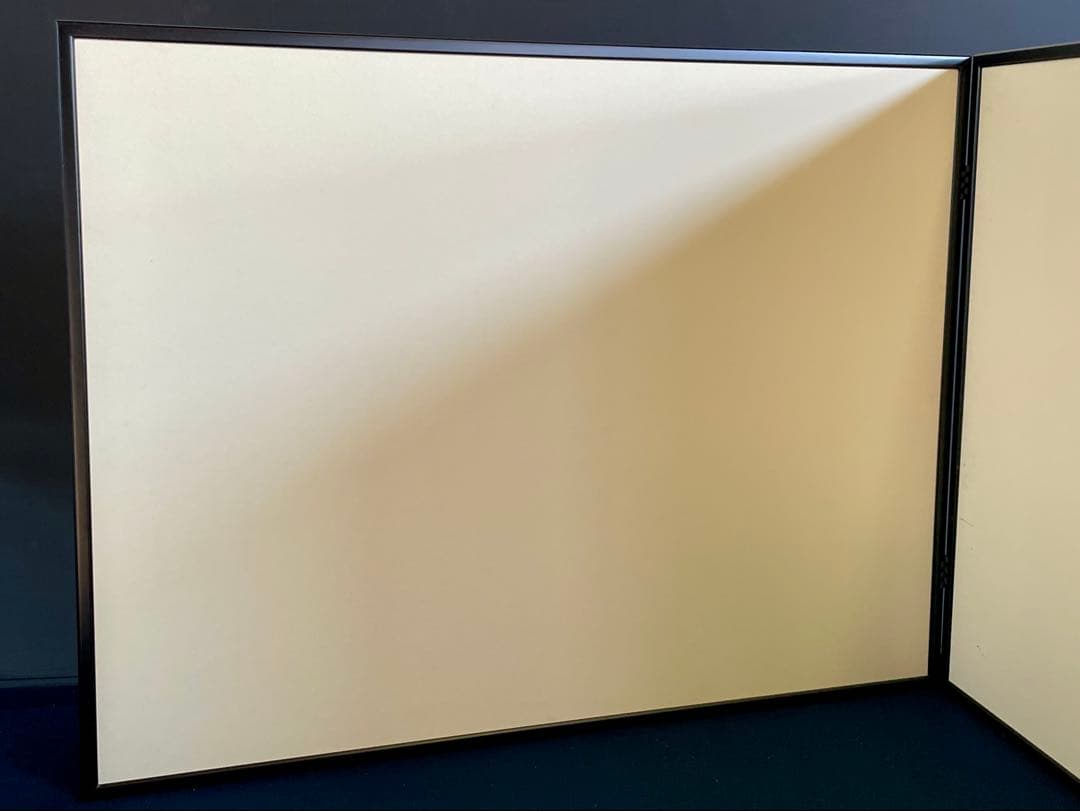 【美品】「祖」 鵬雲斎好 雲鳳 鳥の子紙 両面使い 塗縁 総張 （1119⑤）