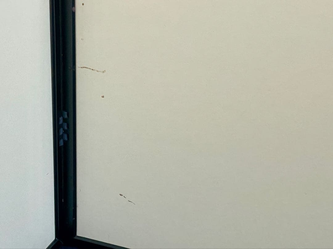 【美品】「祖」 鵬雲斎好 雲鳳 鳥の子紙 両面使い 塗縁 総張 （1119⑤）