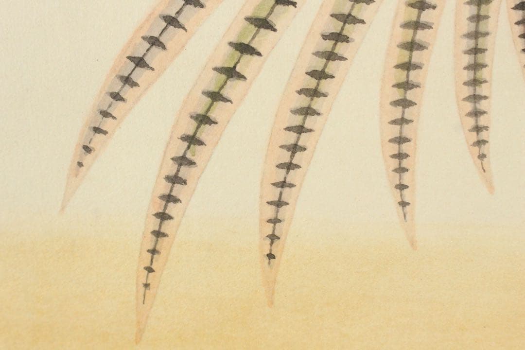 No5417掛軸　前川修　「雉子」　紙本着色　共箱　日本画　花鳥　古画　送料無料