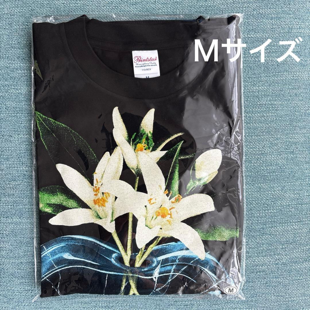 TENBLANK×©SAINT MxxxxxxセントマイケルコラボTシャツ M