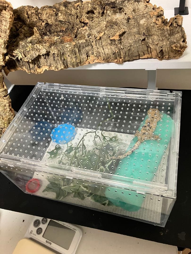 【新品未使用】爬虫類ケージ　ゲージ　アクリル　マグネット　スライド式 4box