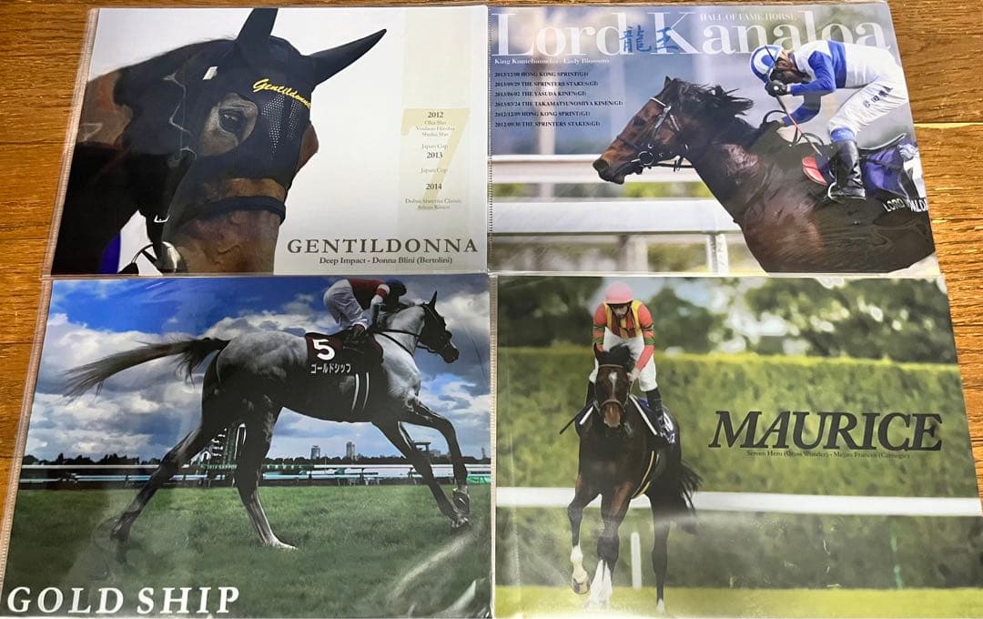 競馬グッズ　JRAクリアファイル　28枚　競馬　JRA