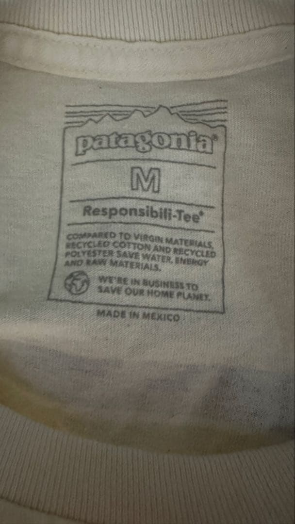 patagonia Lサイズ ロングTシャツ パタゴニア