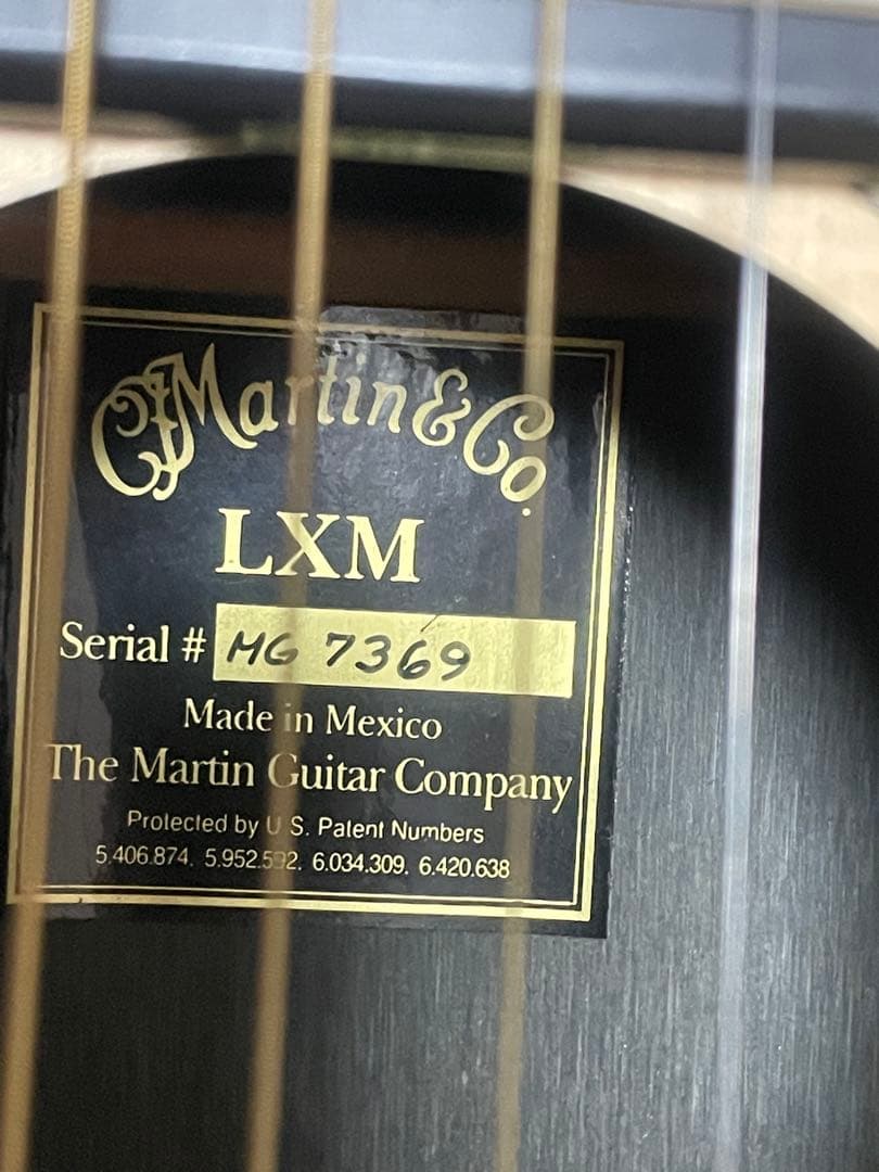 Martin & Co. アコースティックギター