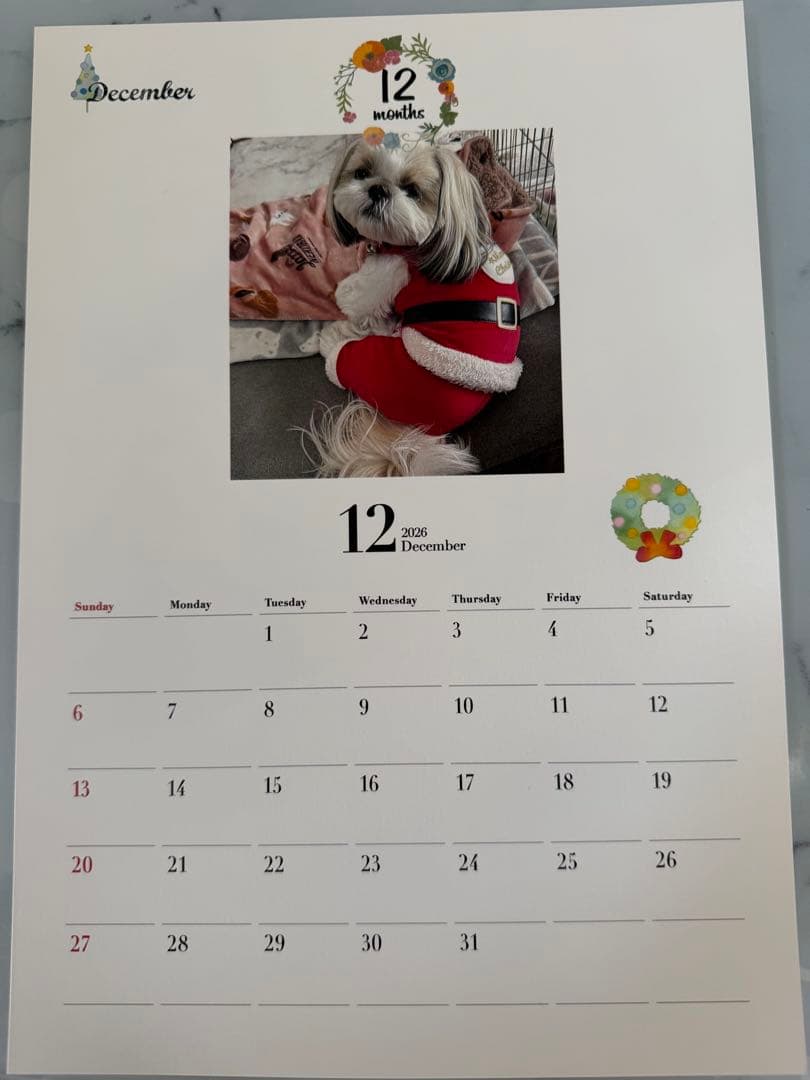 愛犬ちくわ壁掛けカレンダー【オリジナル】