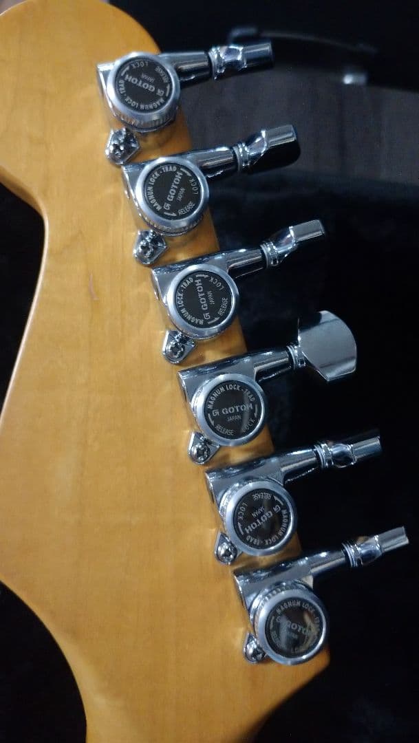 FERNANDES 　STC-50　Allan Holdwarth